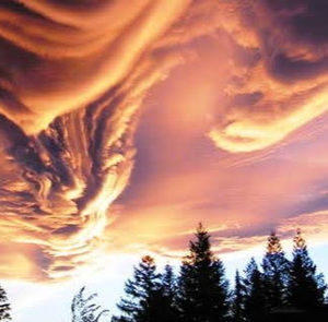 Meet your Posher, Omar